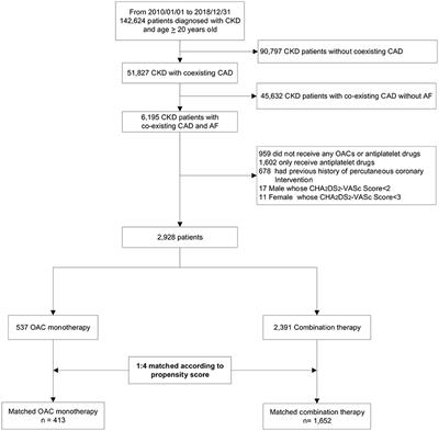 Antithrombotic Therapy for Chronic Kidney Disease Patients With Concomitant Atrial Fibrillation and Coronary Artery Disease